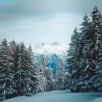 Transformando-Ideias